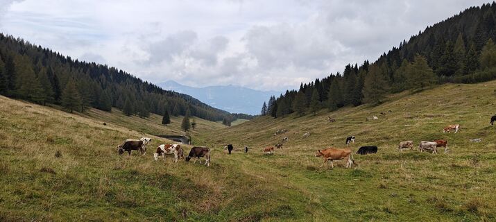 Foto de Daniele Spezia a lo largo del recorrido