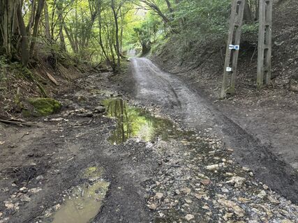 Foto de Reti Alicia a lo largo del recorrido