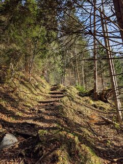 Fotografia z Pfefferam na trase