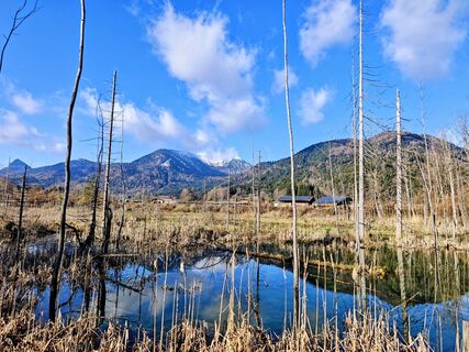 Foto von Michi Steiert entlang der Tour