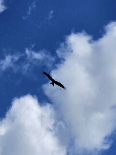 Fotografie z Angelika Gerung na trase