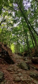 Fotografija s spletne strani Daniele Spezia na poti