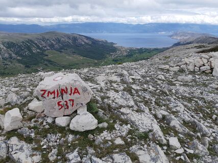 Zminja