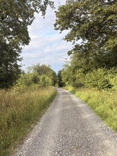 Photo de M2504 le long du parcours