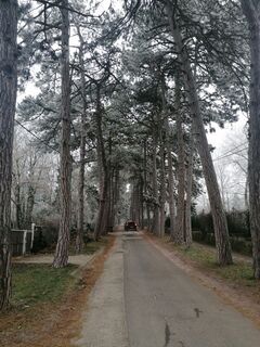 Foto von luyyy entlang der Tour