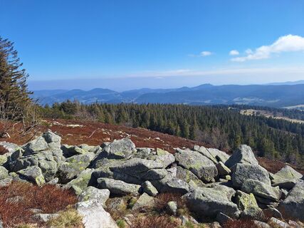 Foto von Katharina entlang der Tour