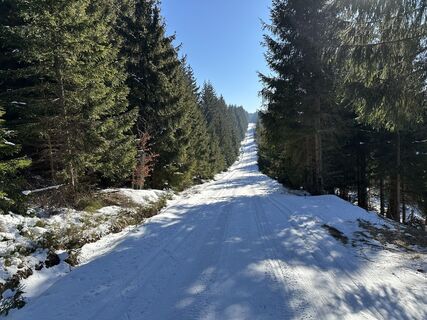 Foto von Weißbacher entlang der Tour