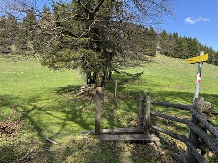 Foto från Kleinlehners under resans gång