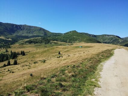 Zdjęcie z Tasurinki Mitote wzdłuż trasy