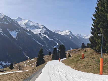 Fotografija s spletne strani Michi Steiert na poti