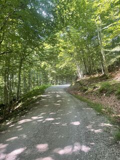 Fotografija s spletne strani Michael Trauner na poti