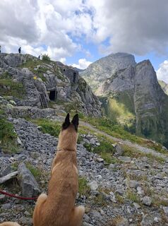 Foto von Birgit Arbeiter entlang der Tour