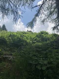 Foto von Susan Höhn entlang der Tour