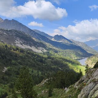 Blick auf den Teich vom Schutzgebiet aus