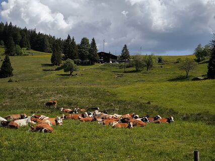 Foto fra Dietmar Lüdenscheid ? undervejs på turen
