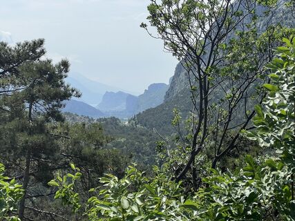 Photo de Heikoala le long du parcours
