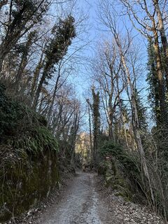 Fotografie z RS76 na trase