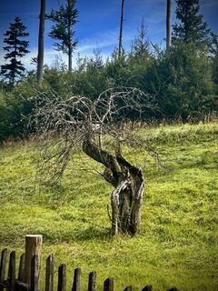 Photo de Kellner Heidi le long du parcours