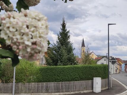 Fotografija s spletne strani Peter Bauridl na poti