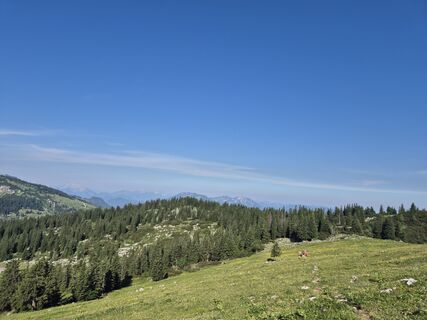 Photo de Franz Scholler 1 le long du parcours
