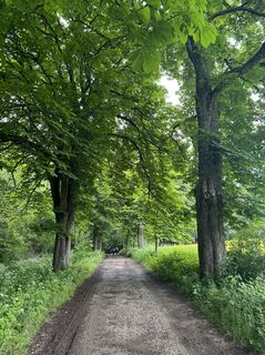 Foto von Denise Miller entlang der Tour