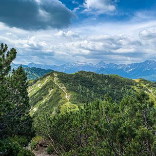 Blick zurück auf den Wanderweg