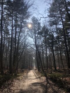Zdjęcie z Ruth Gurk wzdłuż trasy