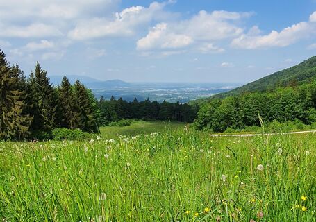 Ausblick von Hochstadl