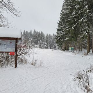 Winterwanderweg Grünheide - Start am Wanderparkplatz Waldpark Grünheide