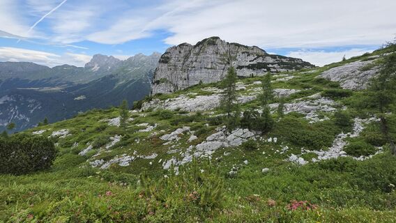 Foto von euterpe42 entlang der Tour