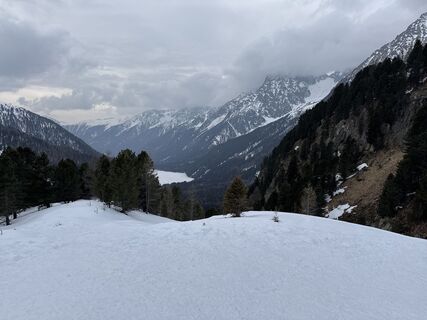 Foto von Grizzli entlang der Tour