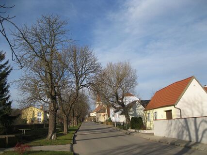 Fels - Absdorf