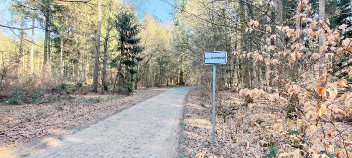 Kopfsteinpflasterweg im Wald zwischen Solchstorf und dem Riesenmoor