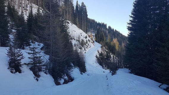 Abzweigung von Rodelbahn