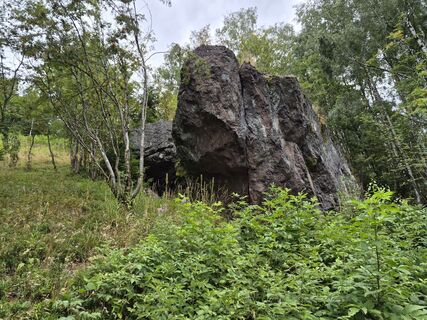 Zdjęcie z Wollomator wzdłuż trasy