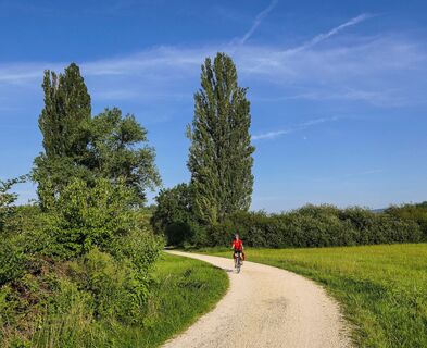Radweg zwischen Gundholzen und Horn