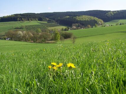 A3 oberhalb von Herpel.jpg