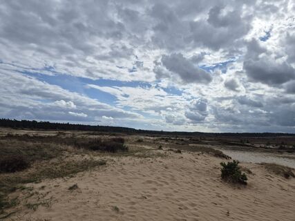 Photo de Frellie le long du parcours