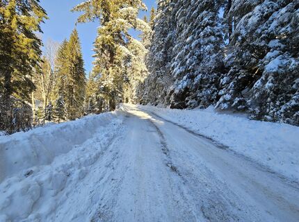 Foto von Franz Russ entlang der Tour