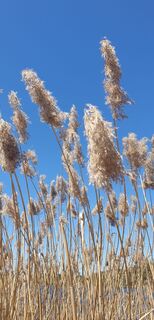 Zdjęcie z Ingeborg Maislinger wzdłuż trasy