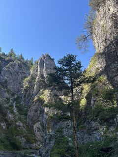 Photo de Katrin Rupprecht le long du parcours
