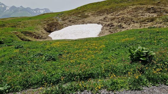 Foto de Gerrit van der Linde a lo largo del recorrido