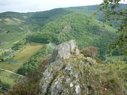 Blick über das Veldenzer Bachtal zum Langen Hammer Felsen