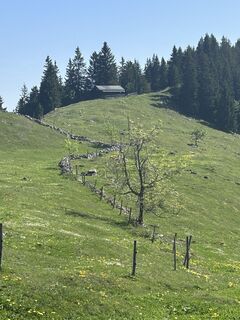 Photo de Katrin Rupprecht le long du parcours