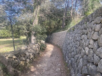 Foto från Rainer Pieper under resans gång