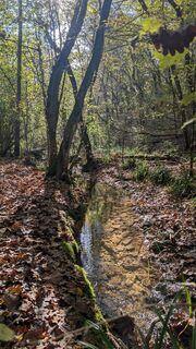 Photo de Stefano Manzoni le long du parcours