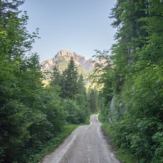 Wanderung zur Kammerlingalm