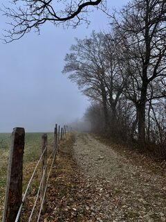 Fotó a Leo Fahrngruber honlapról a túra során