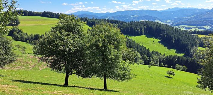 Foto da f.rabe lungo il tour