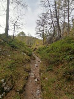 Fotografie z Dagmar Hofer na trase